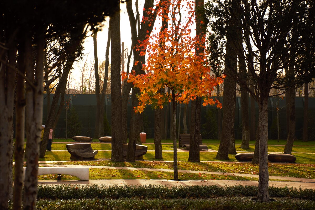 Украшение. - Юрий Полторыхин.