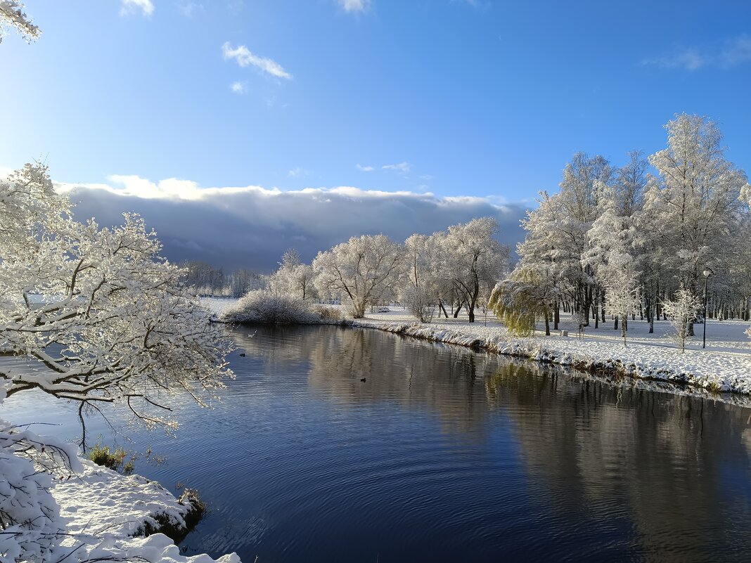 В солнечный день ноября - Мария Васильева