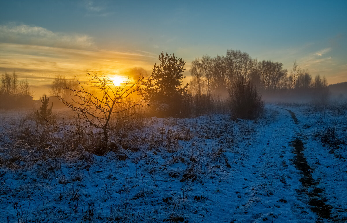Вечер Ноября 3 - Андрей Дворников