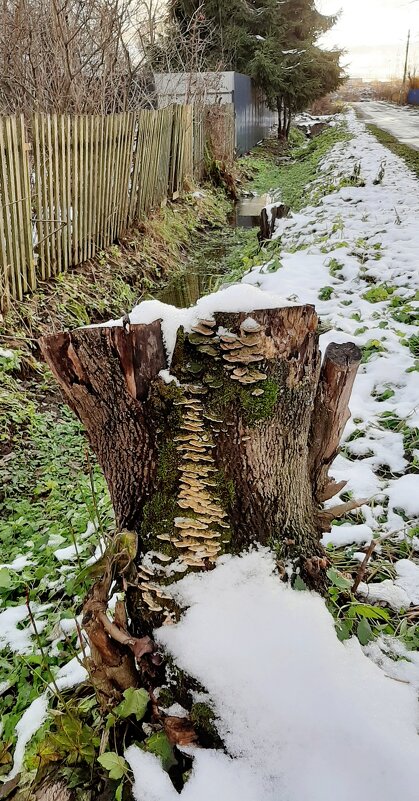 Ноябрь - Наталья Герасимова Ноябрь - Наталья Герасимова