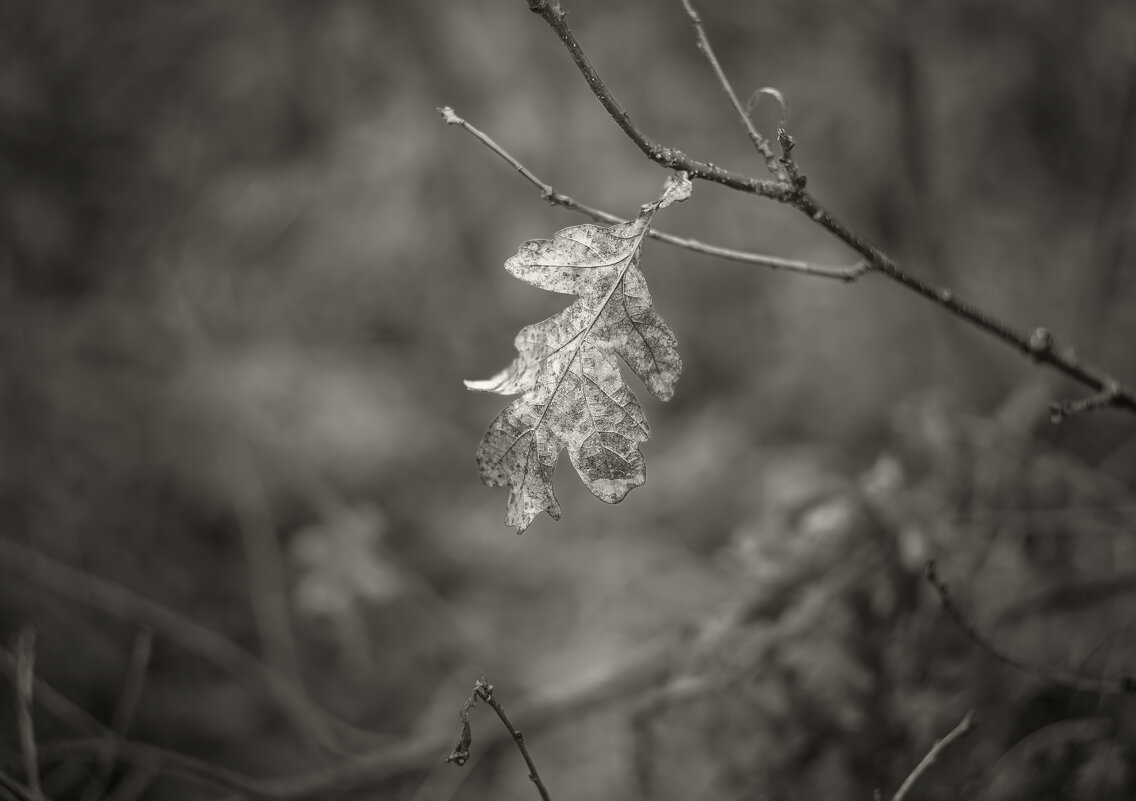 ... - василий 