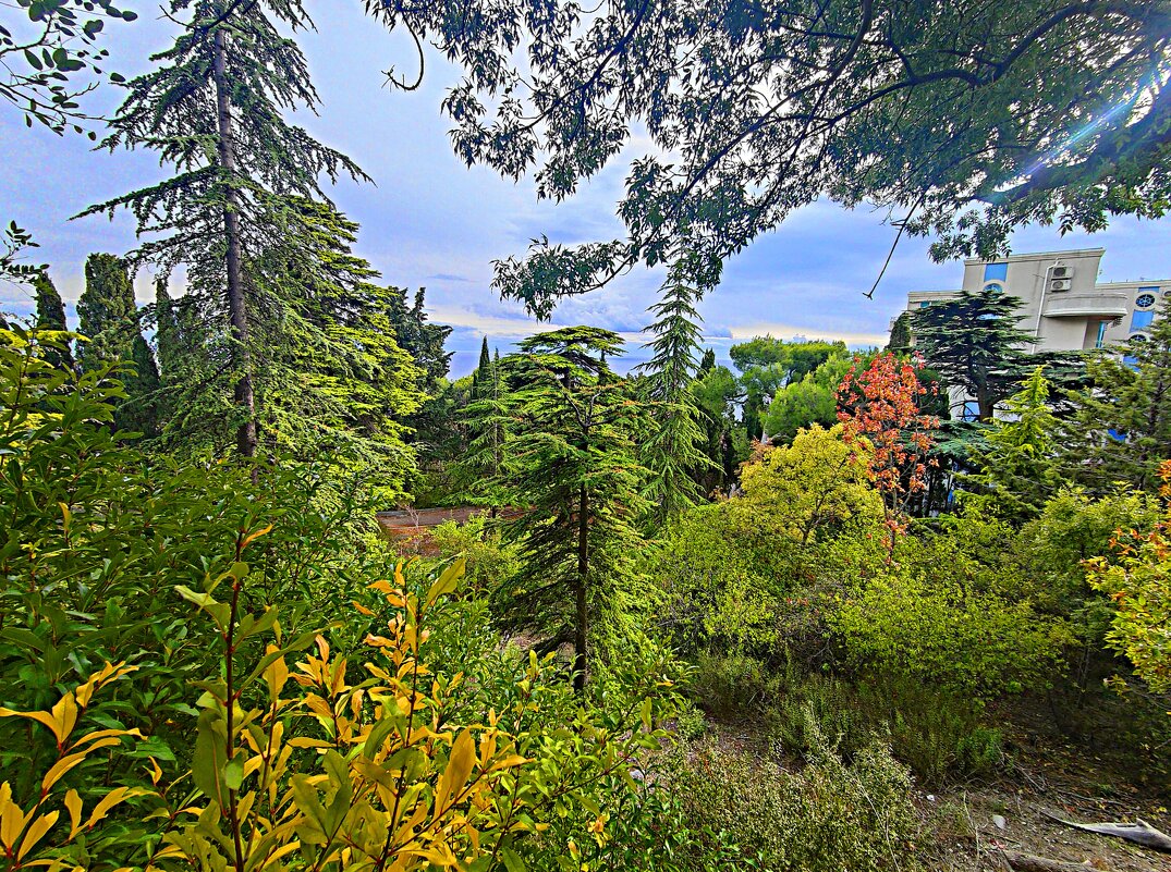 Прилегающий к дворцу Голицына ландшафтный парк. - Виктор Мухин