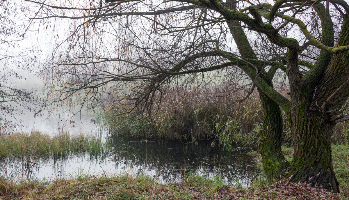 *** - Владимир Безбородов