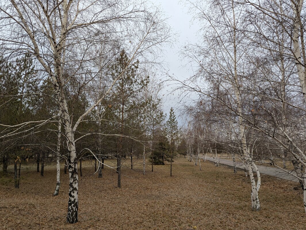 Ноябрь - Андрей Хлопонин