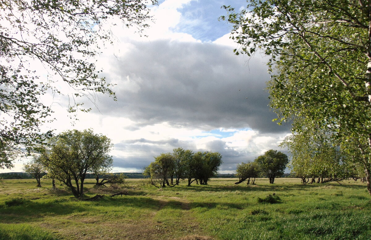 В родных местах - у неба цвет синее, в родных местах - просторнее луга... - nadyasilyuk Вознюк