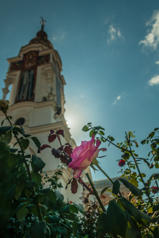 Храм-маяк - Олег Загорулько