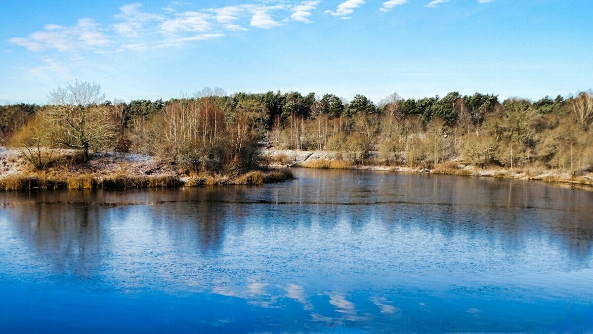 Солнечный день ноября. - Милешкин Владимир Алексеевич 