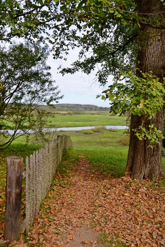 МИХАЙЛОВСКОЕ. - Виктор Осипчук