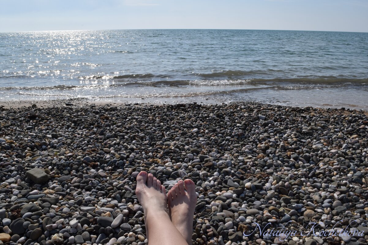 Природа Крыма - Amazing Cosmea