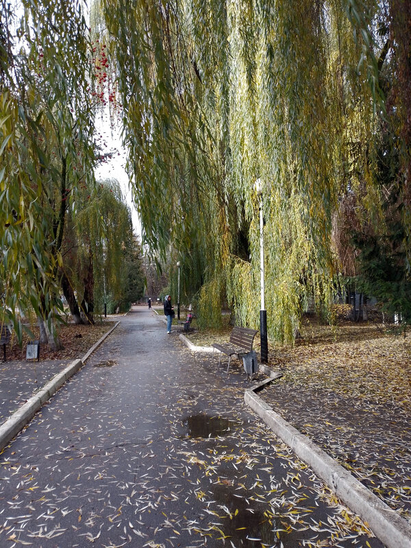 *** - Валентина Береснева *** - Валентина Береснева