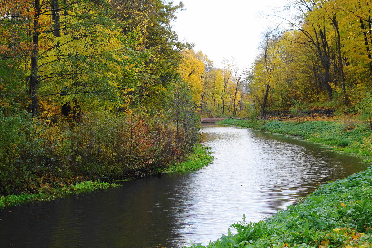 Ноябрь - Рита Симонова Ноябрь - Рита Симонова