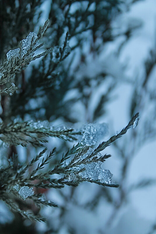 ❄️ - Наталья 