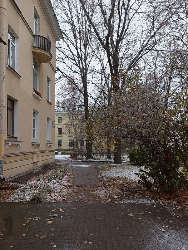 Первый снег. Зеленогорск. Ленинградская область.. - Лилия *