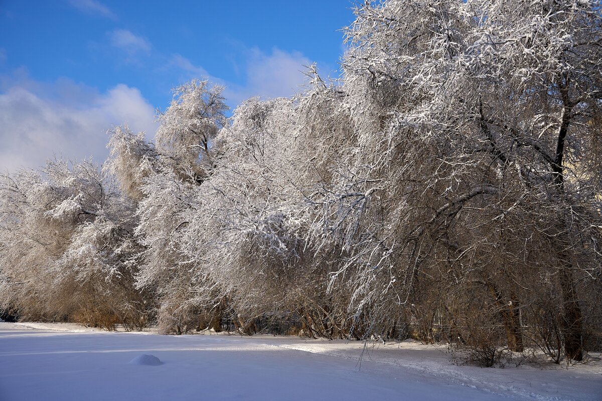 *** - Владимир 