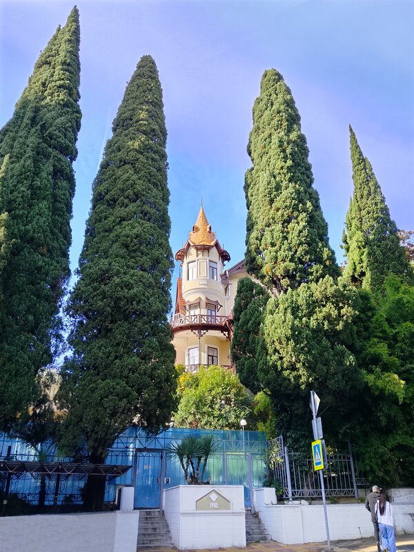 Дача А. В. Якобсона . 1902г. - Tata Wolf