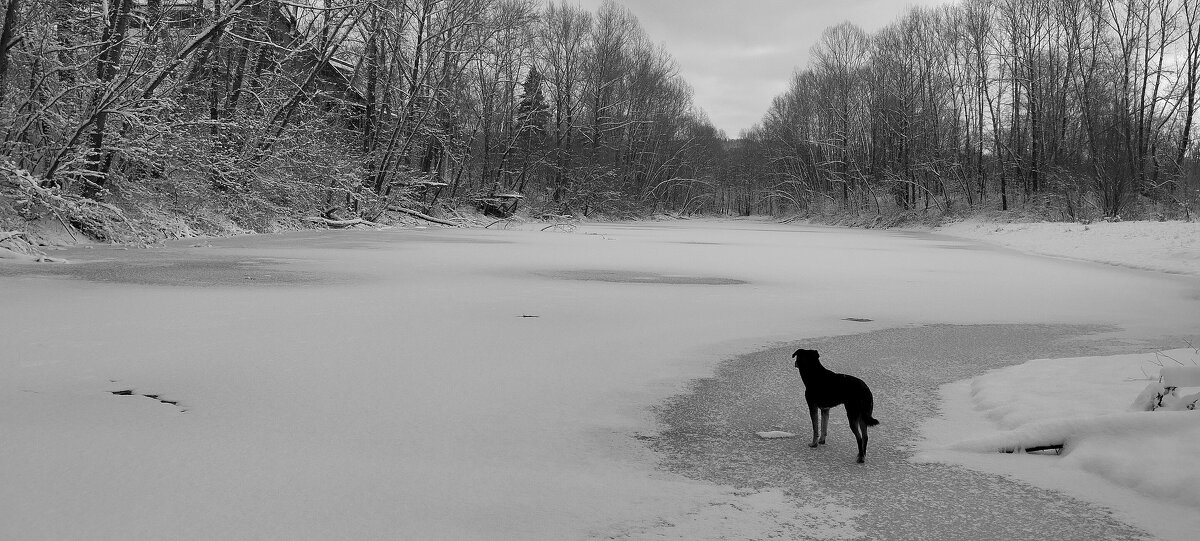Первый лёд!!! - Радмир Арсеньев
