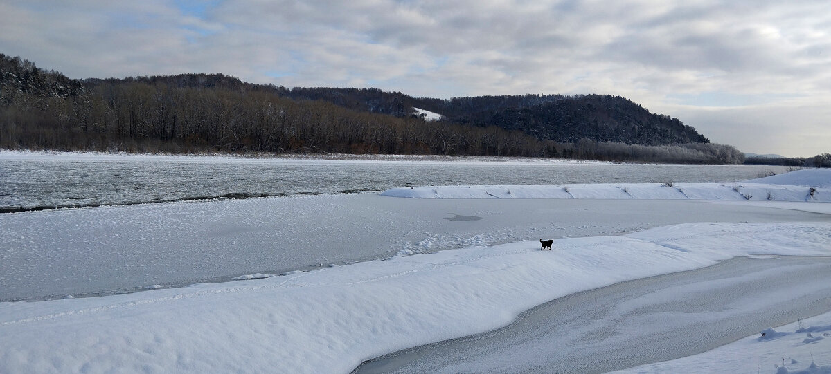Утро - Радмир Арсеньев
