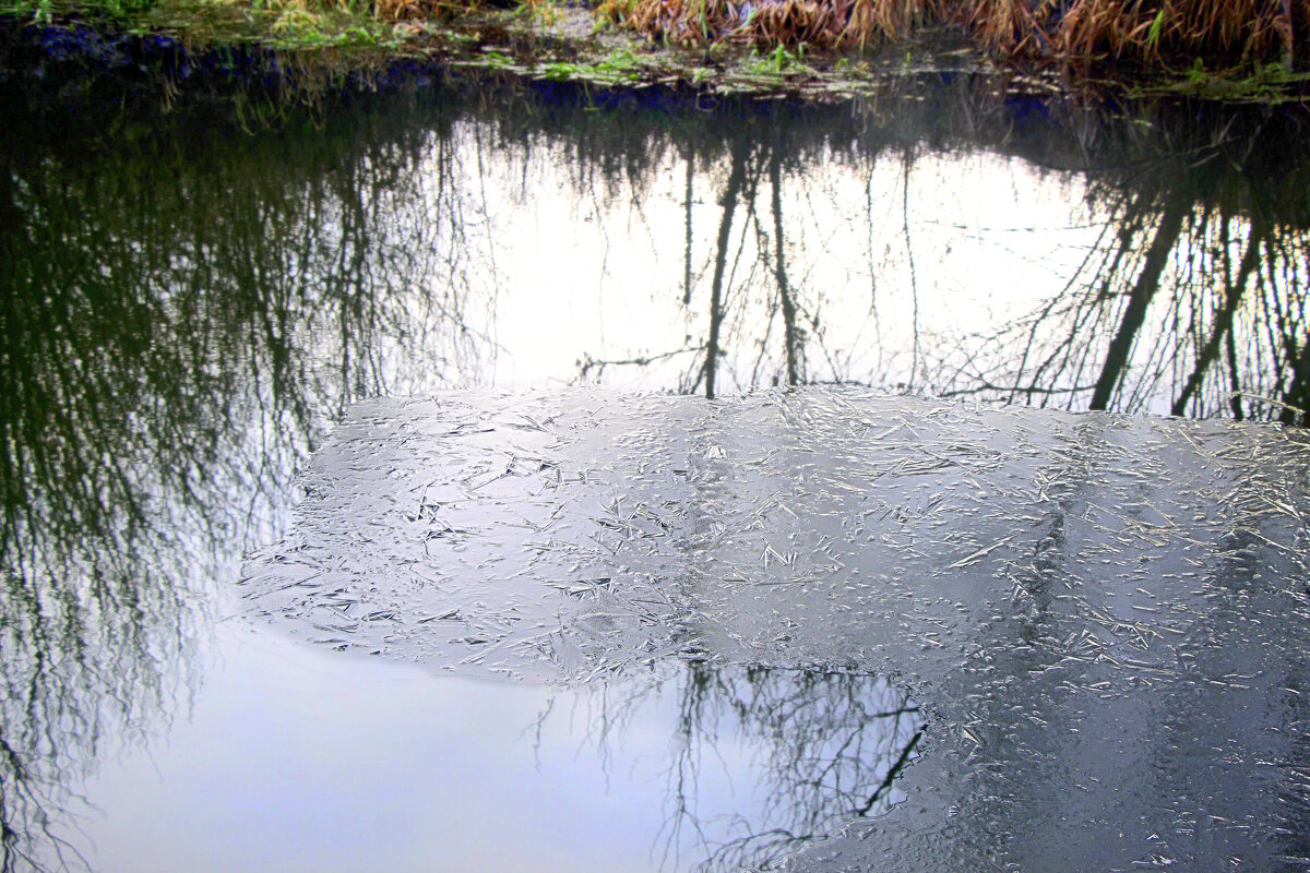 Первый лёд. - Вячеслав. Синицын