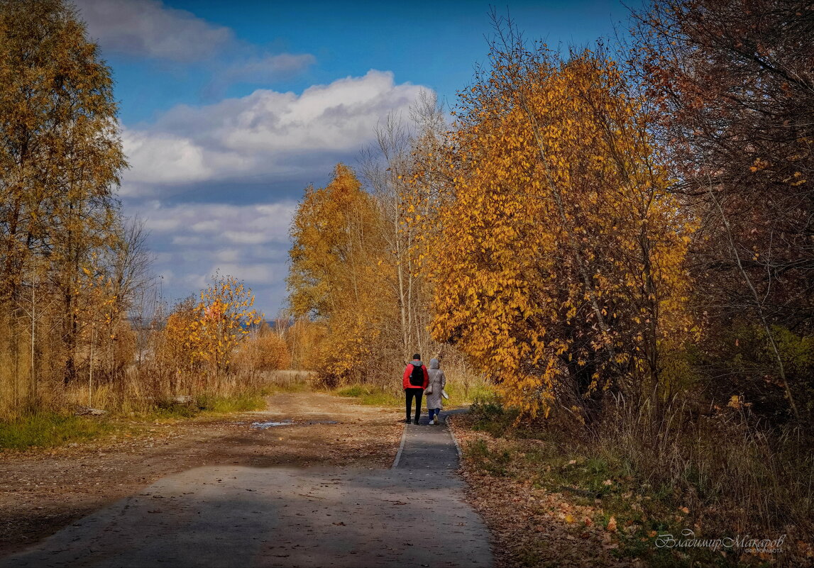 "Поржавела осень. У рощи"© - Владимир Макаров "Поржавела осень. У рощи"© - Владимир Макаров
