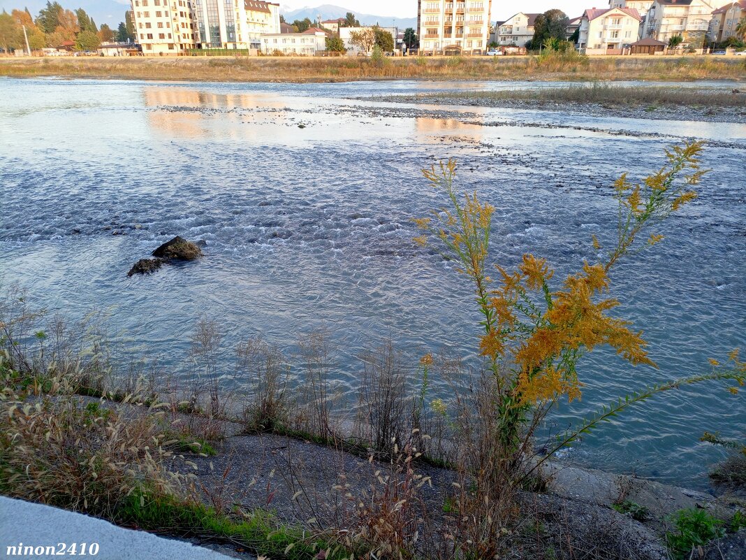 Адлер - Нина Бутко Адлер - Нина Бутко