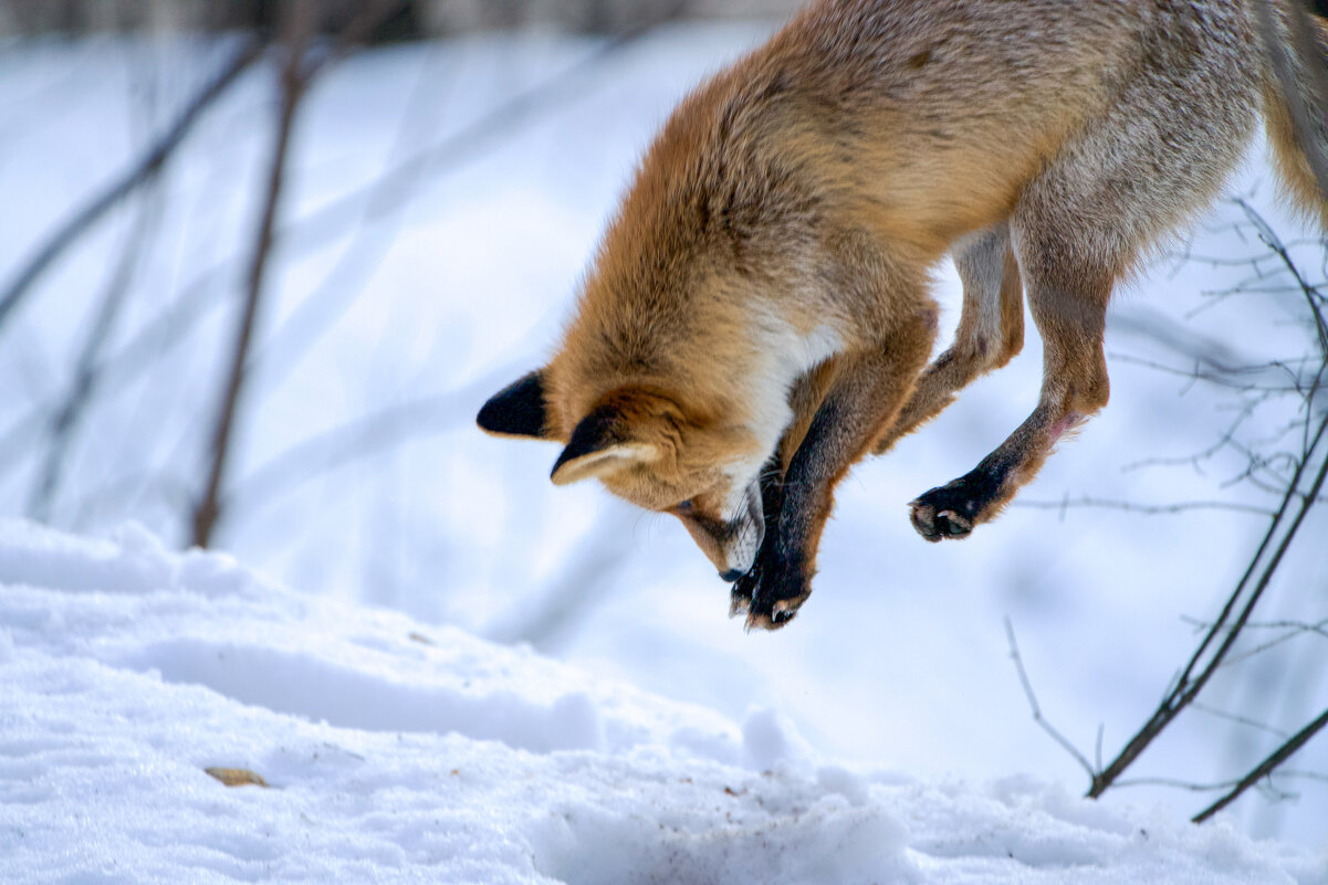 В моменте - Виктория 