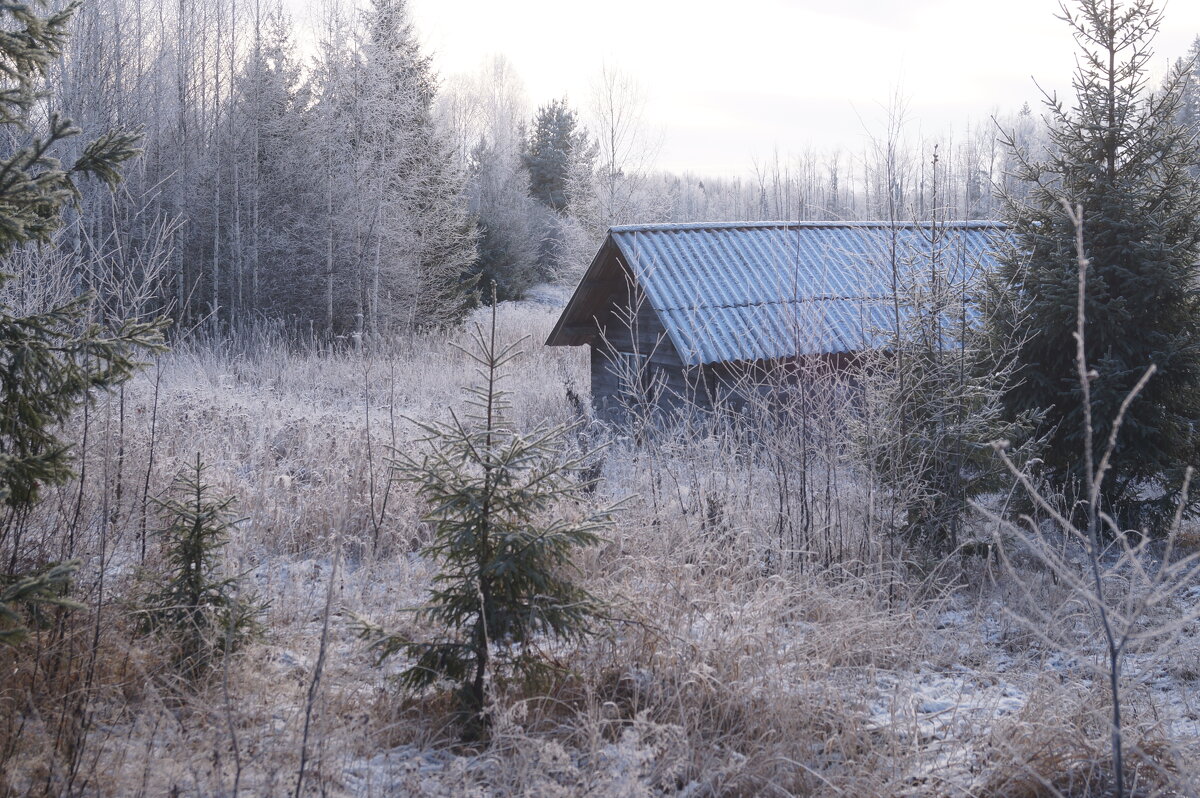 Домик без адреса - Сергей Ц
