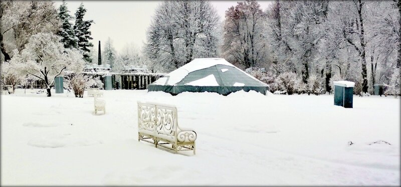Утром выпал снег ... - Сергей Утром выпал снег ... - Сергей