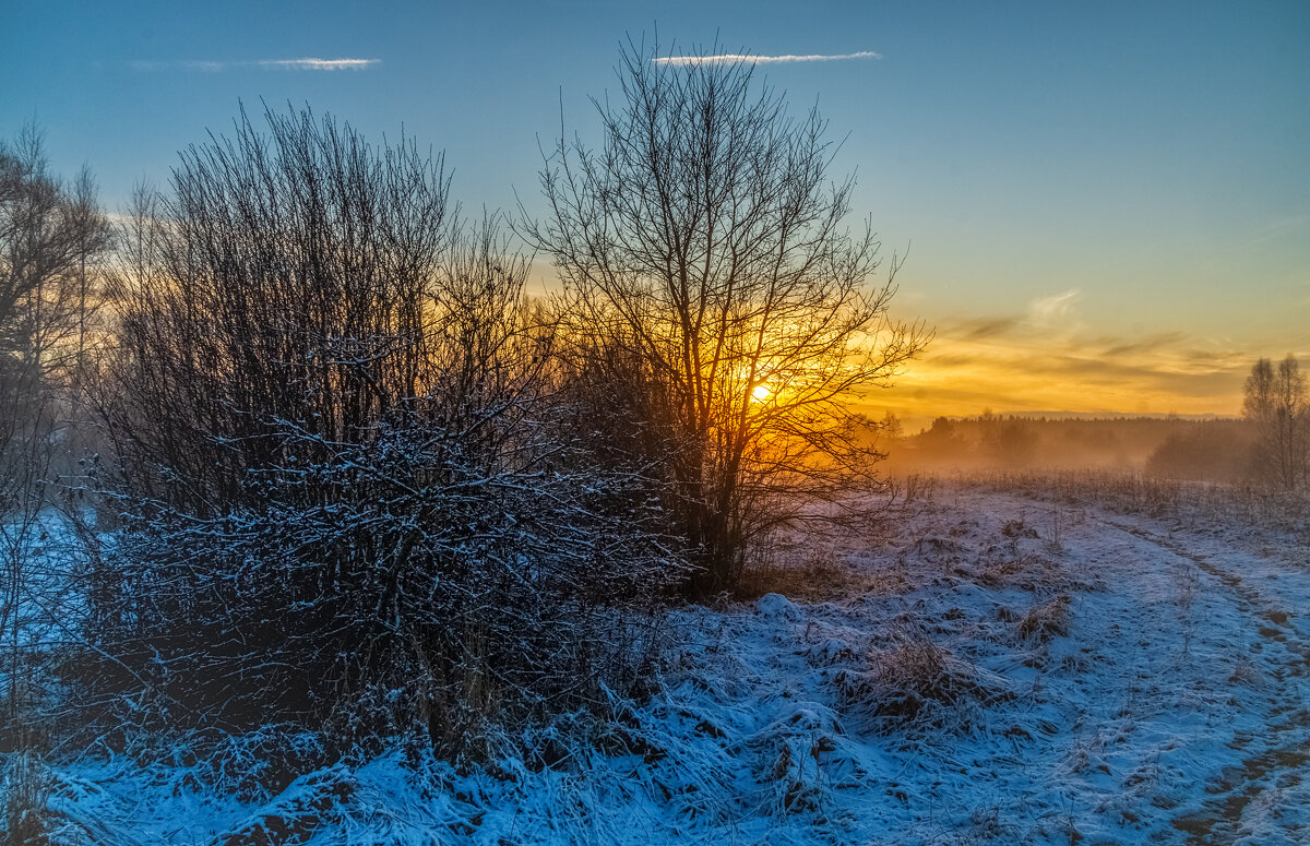 Вечер Ноября 4 - Андрей Дворников