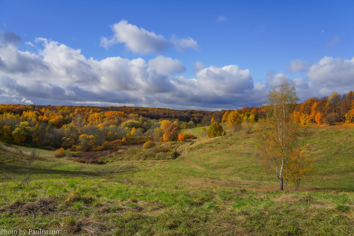Палитра октября... - Владимир Жданов