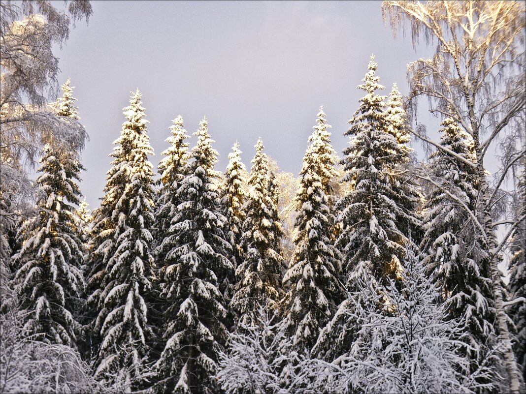 Ноябрь в Сибири - Валентина * Ноябрь в Сибири - Валентина *