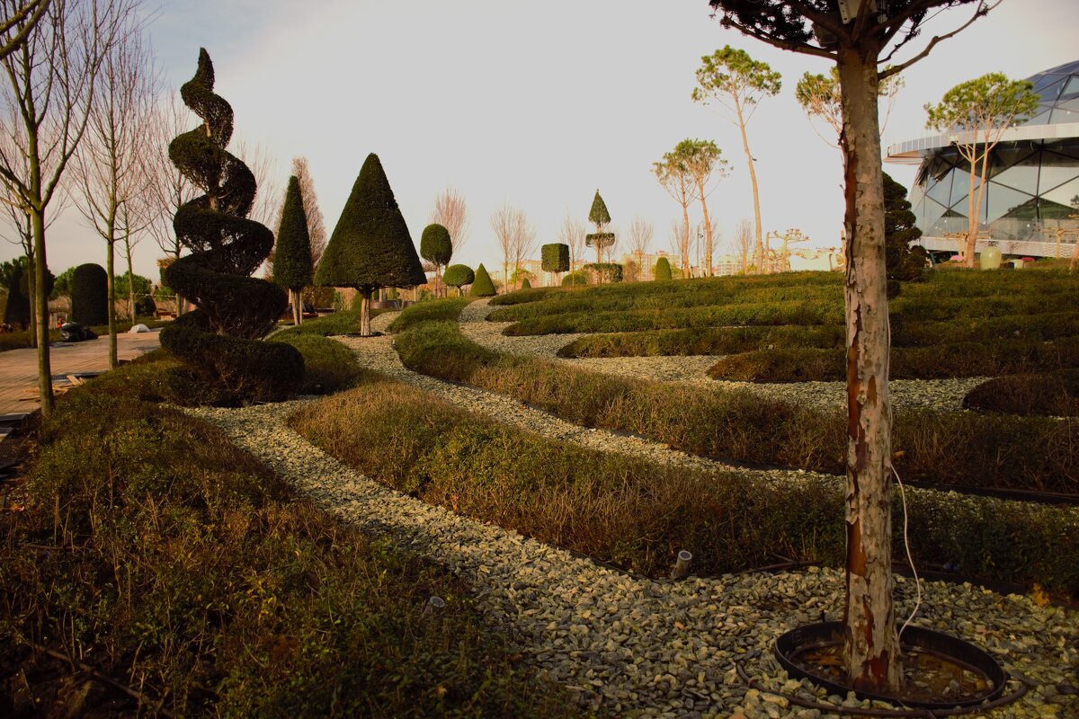 Елки в треугольных платьях. - Юрий Полторыхин.