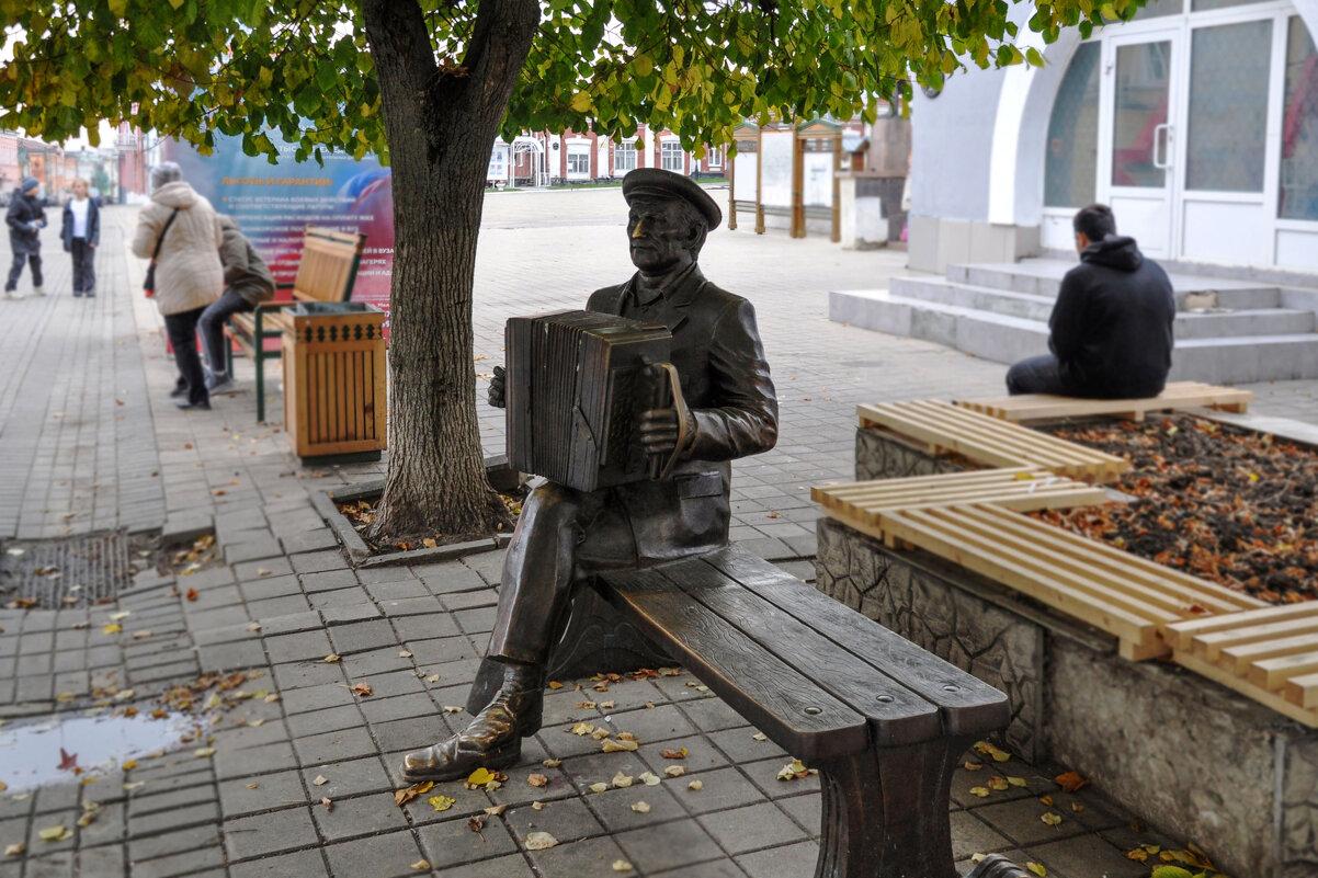 "Гармонист" на площади Ленина в Ельце - Татьяна Машошина