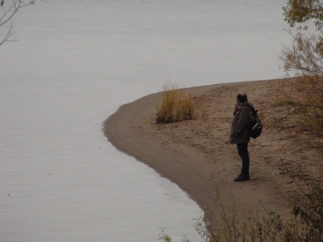 Берег - fogmeadowww m