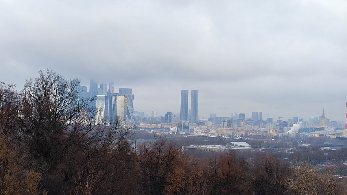 Вид с Воробьевых гор. - Ольга 