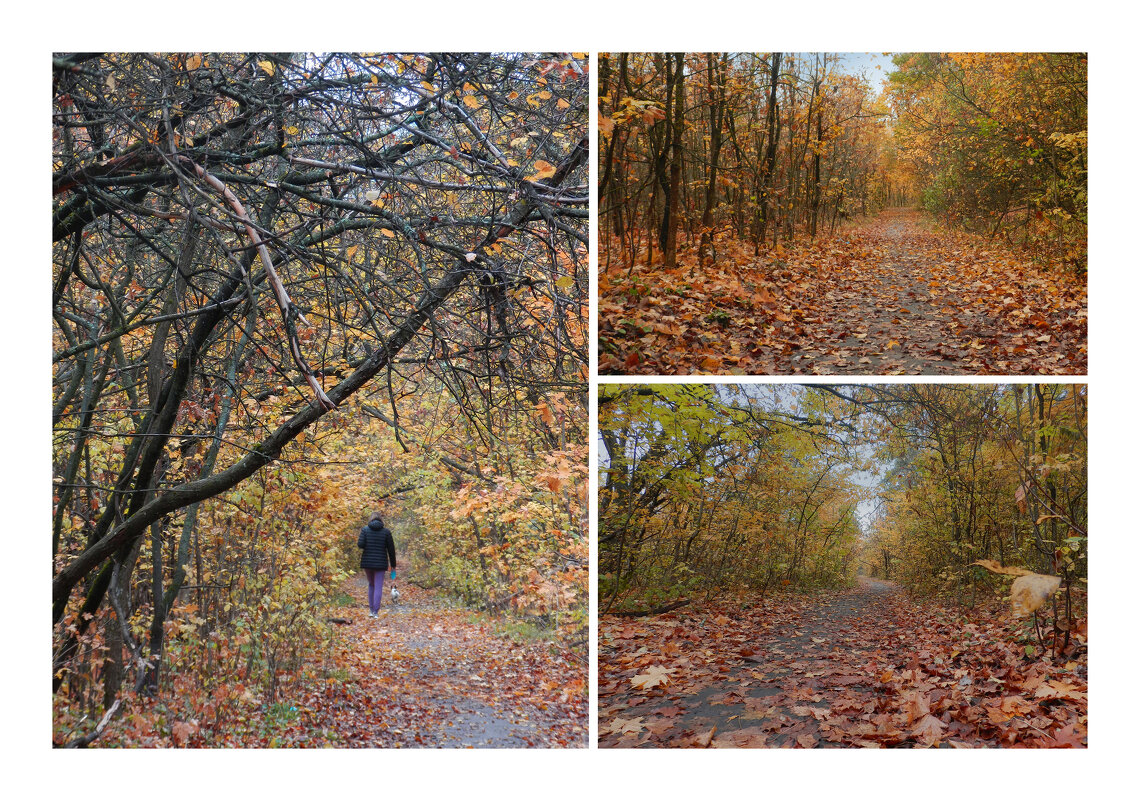 тропинки - Лера 