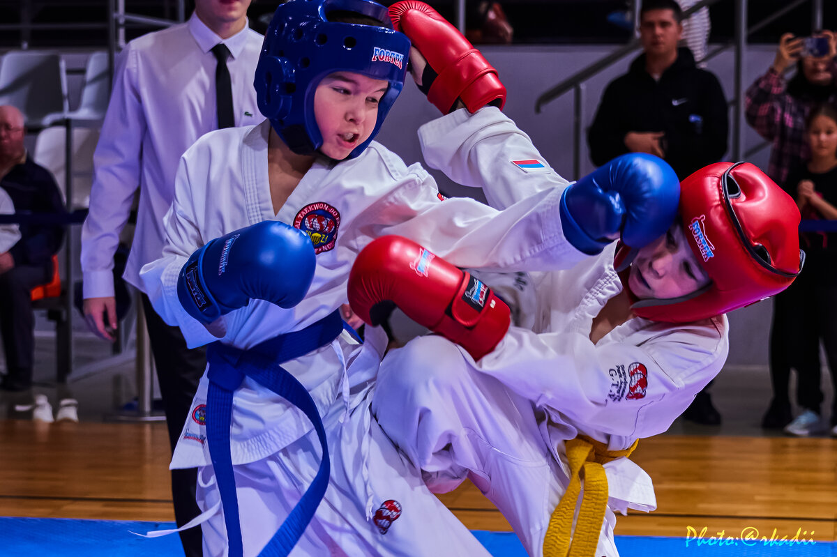 ТХЭКВОНДО - arkadii 