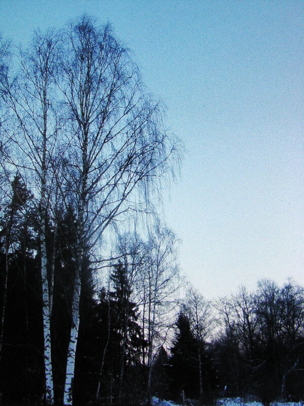 Вот такой ноябрь - Людмила Смородинская Вот такой ноябрь - Людмила Смородинская