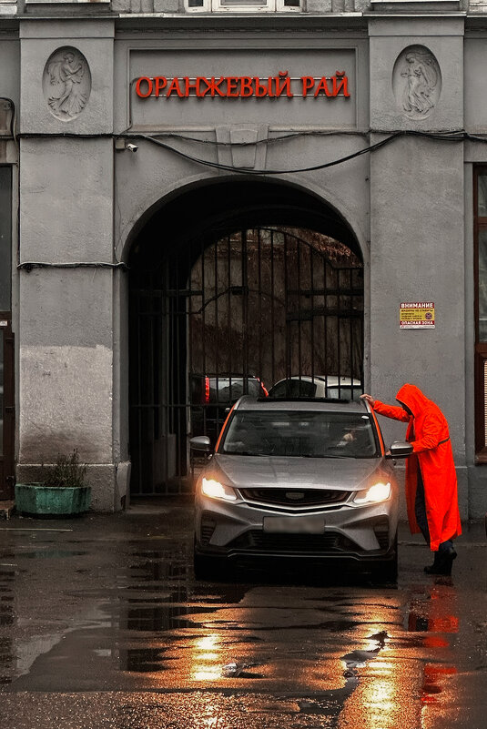 Оранжевый рай - Michel 