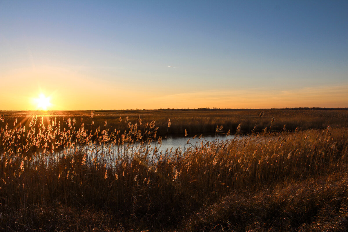 Утро. - Александр. AVG100 ---