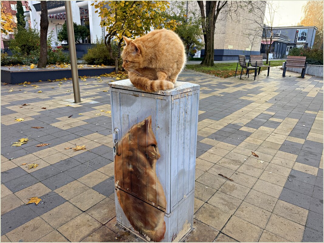 Любимое место Рыжего. - Валерия Комова