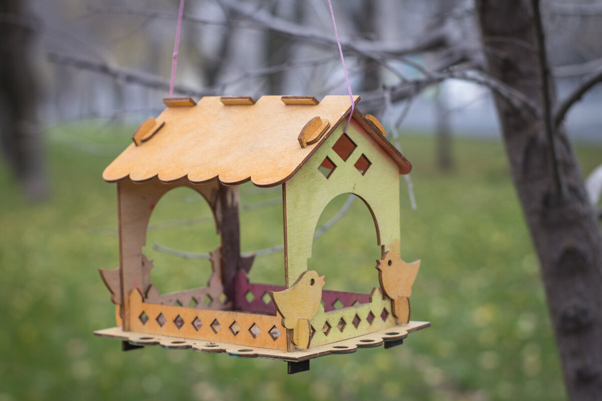 Осень - Тамара Федорова