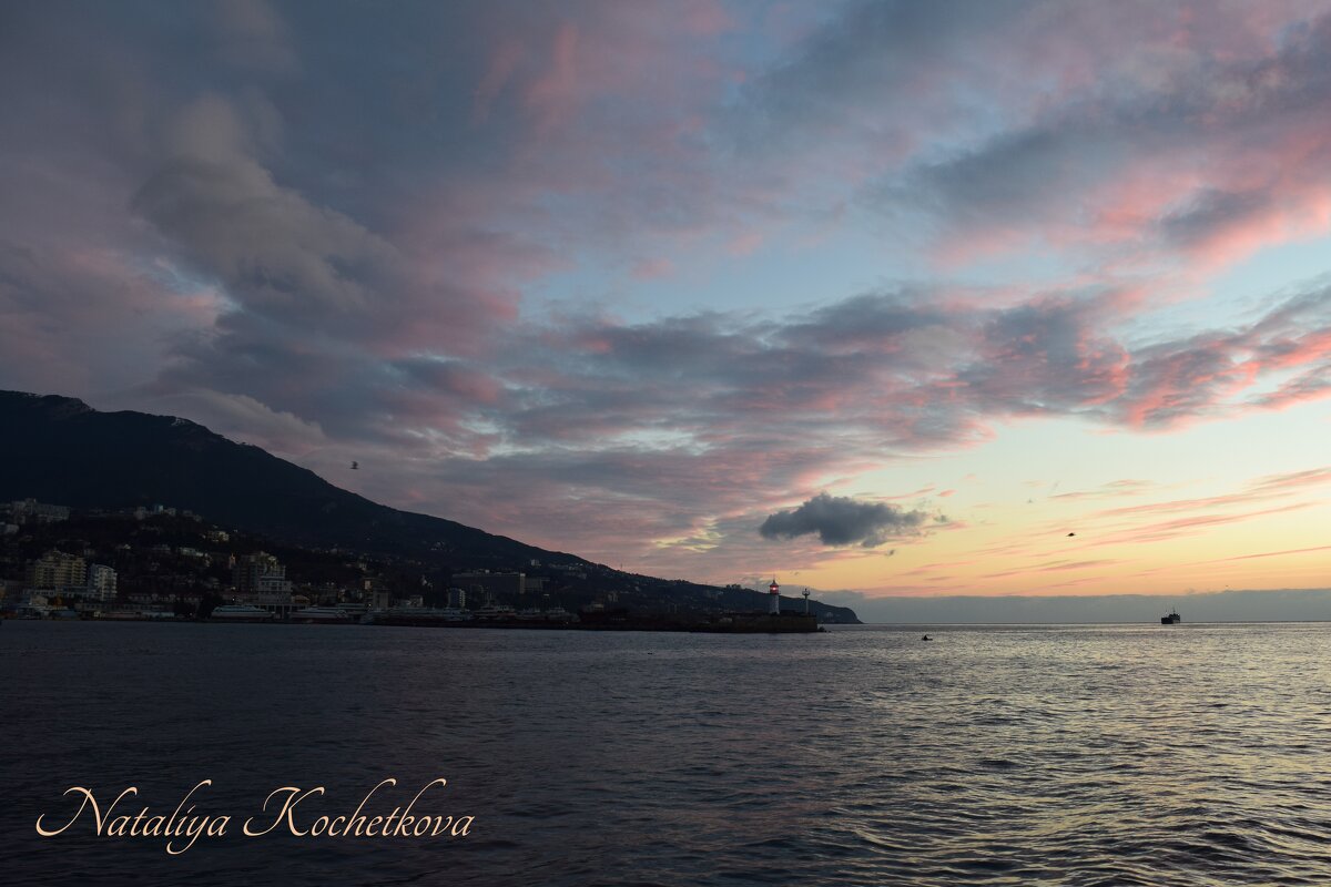 Природа Крыма - Amazing Cosmea