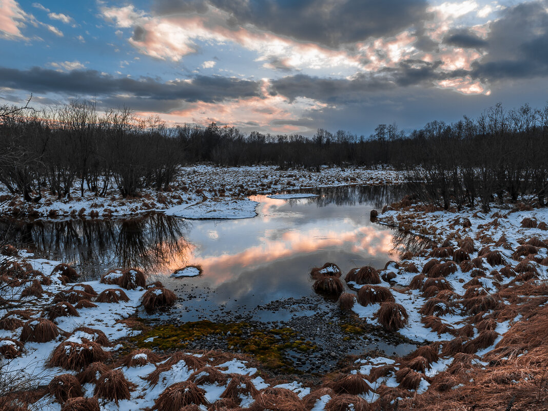 ... - Жора Житников