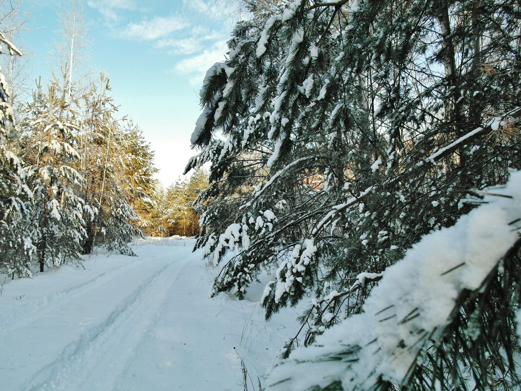 пейзаж - Владимир 