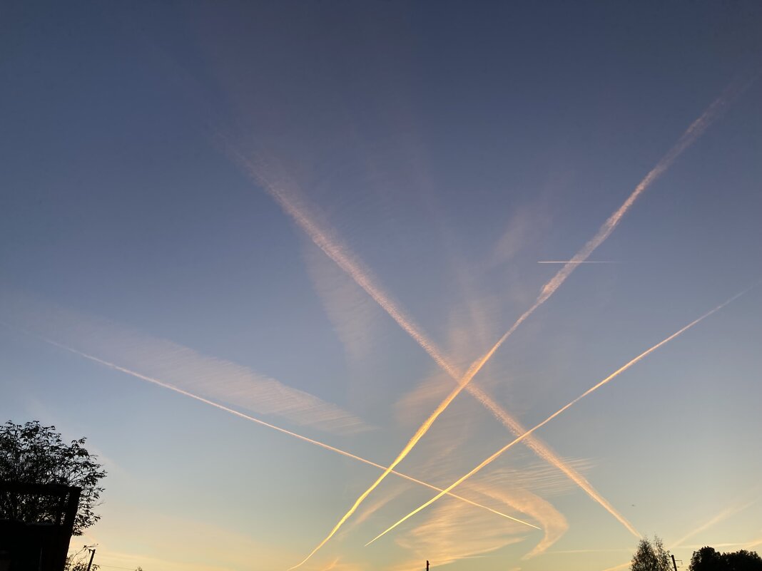 Крестики- нолики - Ольга Савельева Крестики- нолики - Ольга Савельева
