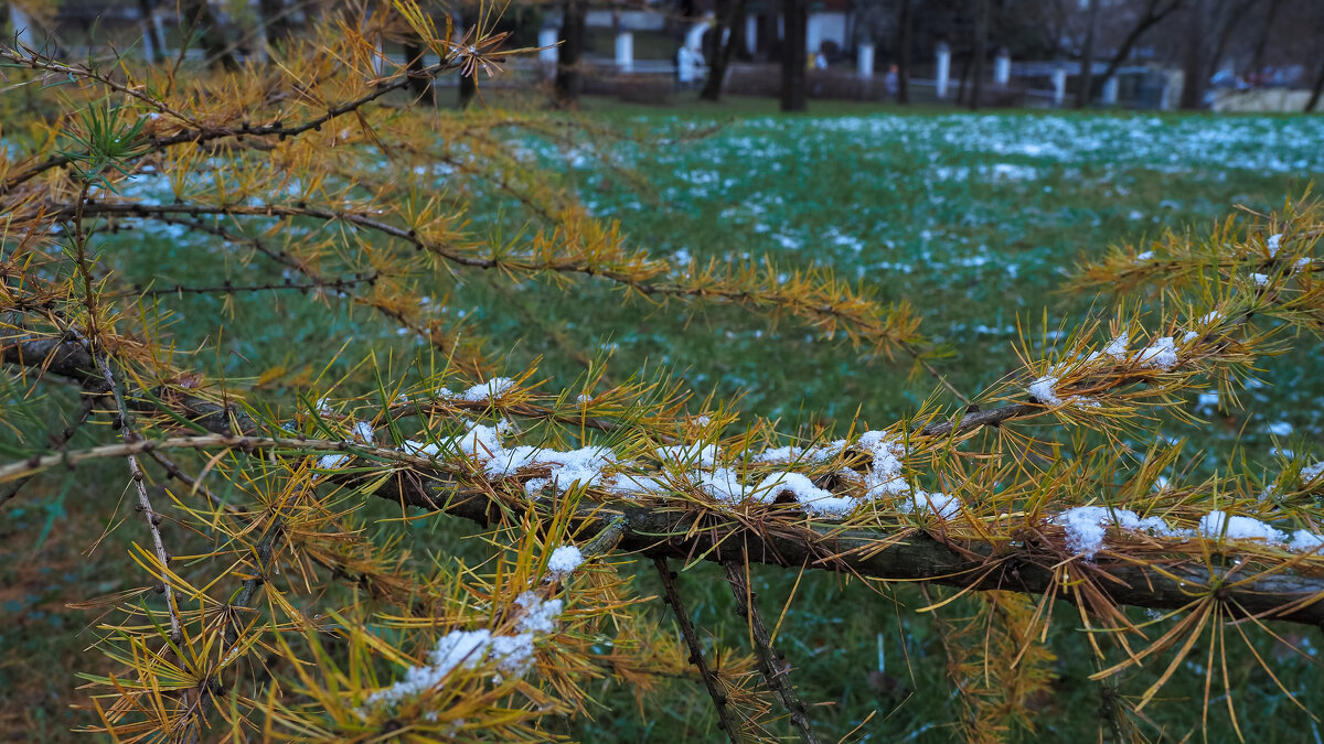 Осенний Сюжет - юрий поляков