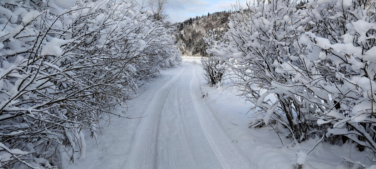 Снежная сказка!!! - Радмир Арсеньев Снежная сказка!!! - Радмир Арсеньев