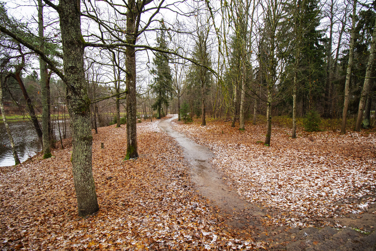 Вдоль реки. - Николай 