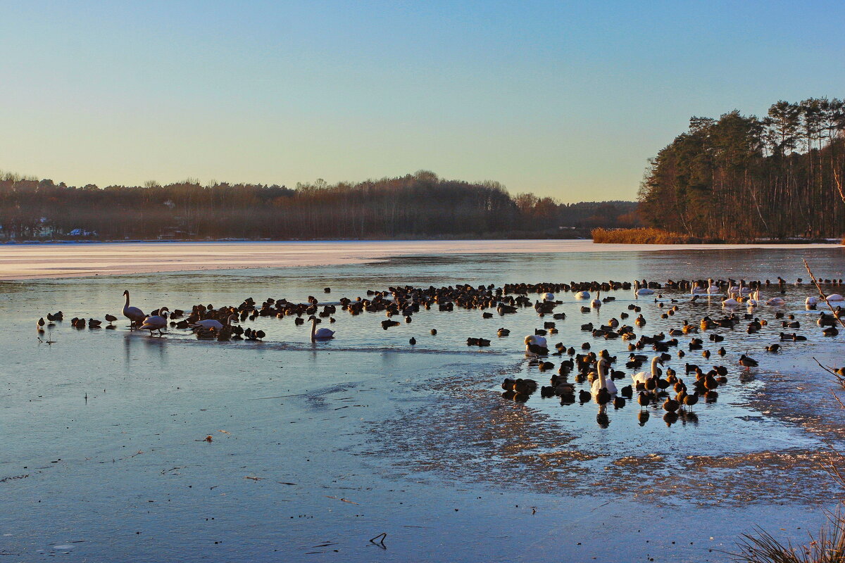Похолодало - Ирэн 