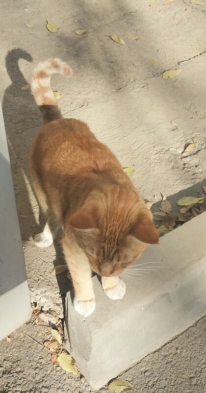 Almaty. - Murat Bukaev 